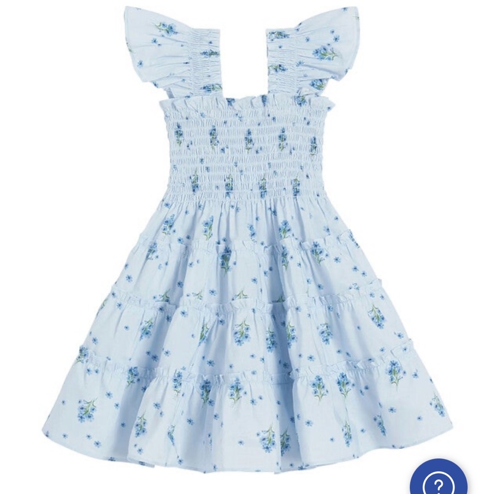 BEAUTIFUL Hill House Toddler Nap Dress ⭐️NWT!